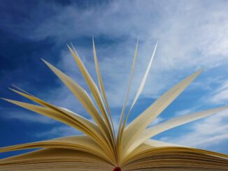 libro sole